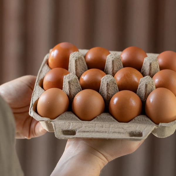 Farm Fresh Eggs