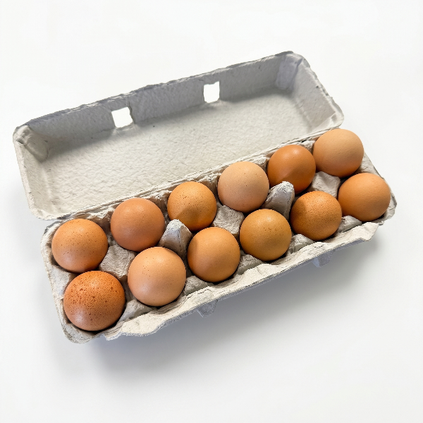 Carton of pastured eggs on a white background