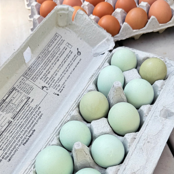 Farm Fresh Eggs