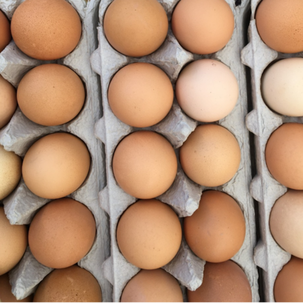 Farm Fresh Eggs